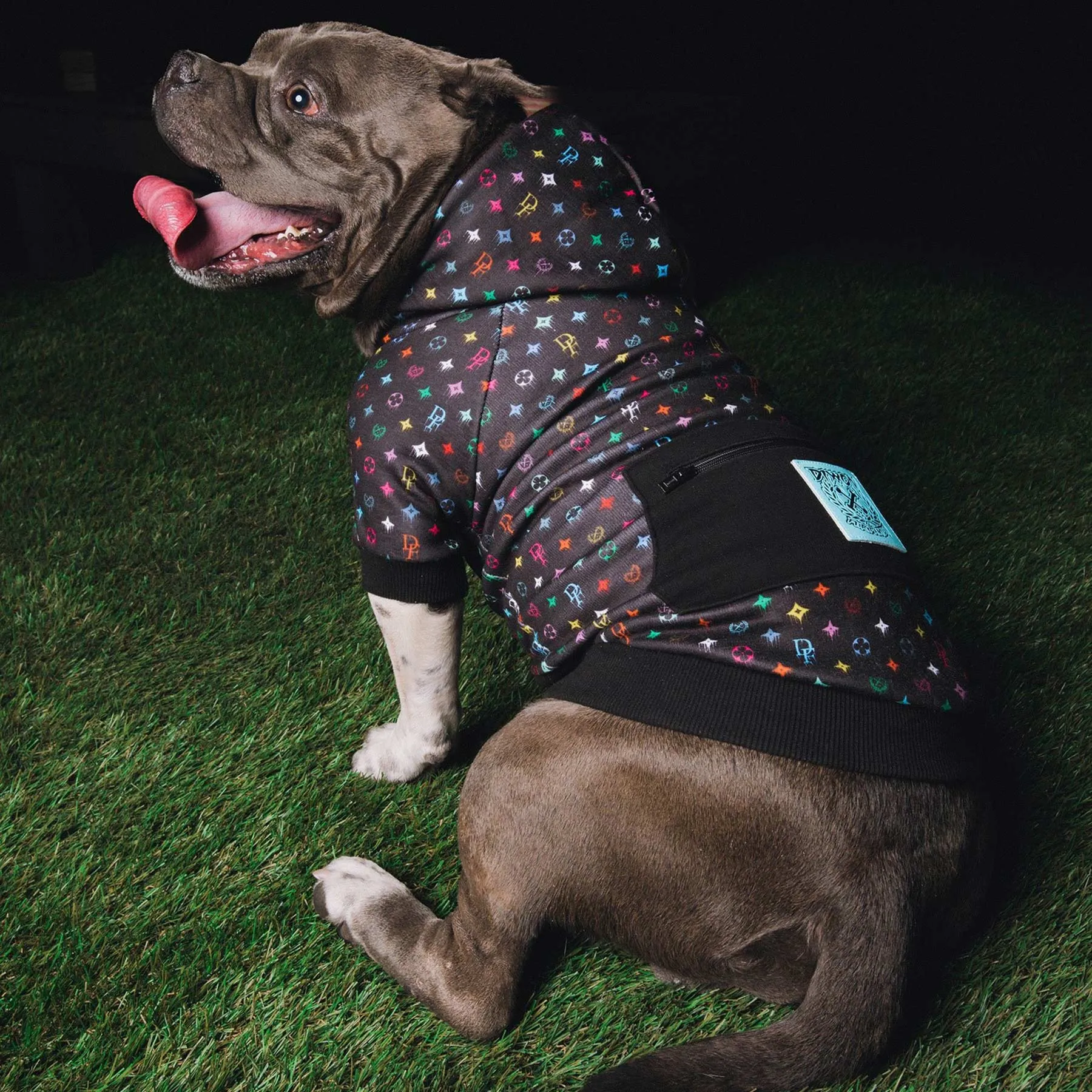 Bougie Dog Hoodie - Multi Drip