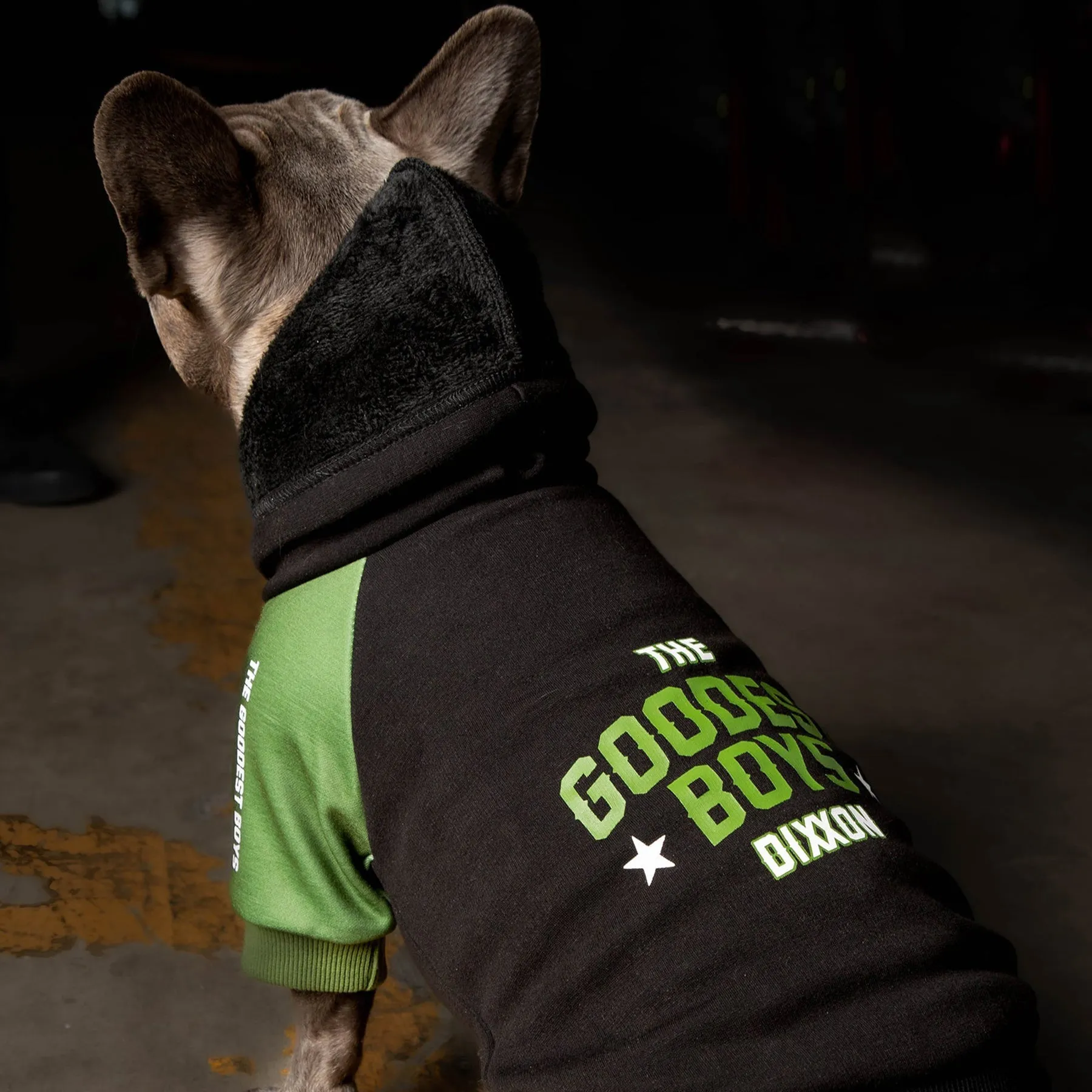 Goodest Boys Dog Hoodie - Black & Green