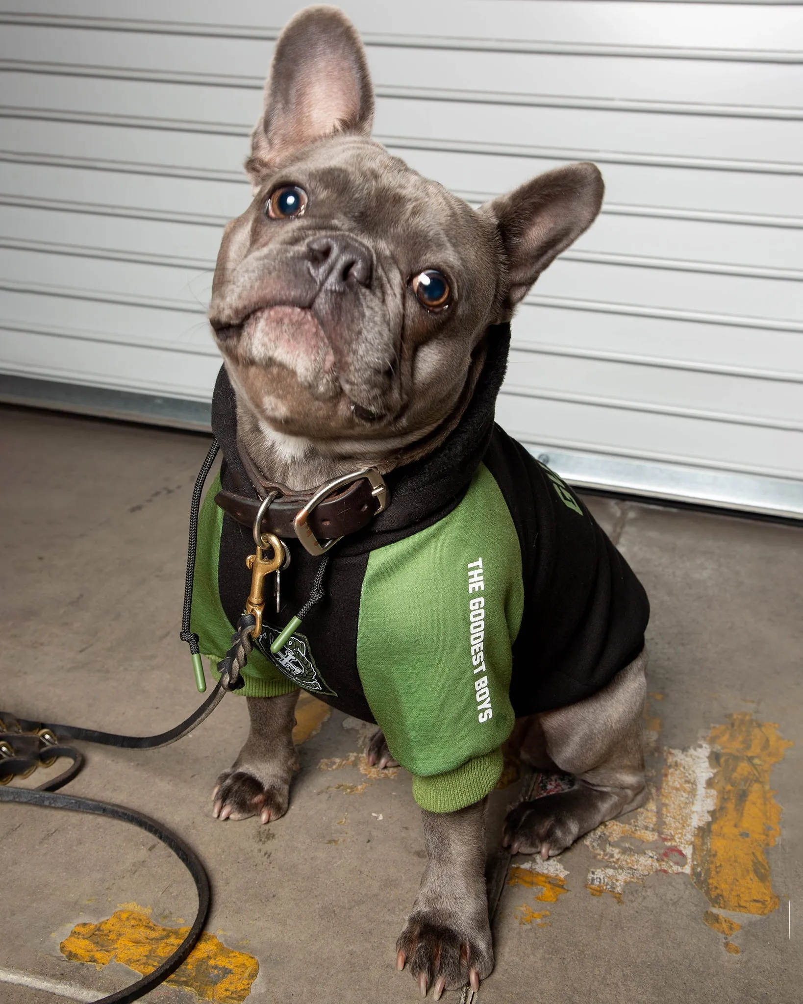 Goodest Boys Dog Hoodie - Black & Green