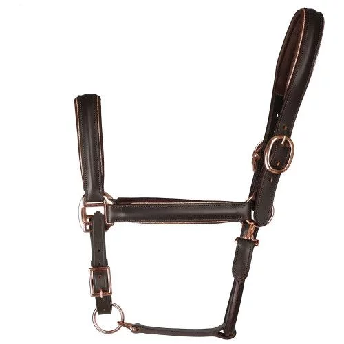 Hy Equestrian Chromatic Leather Head Collar