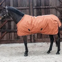 Kentucky Horsewear Turnout Rug All Weather Waterproof Pro 160g