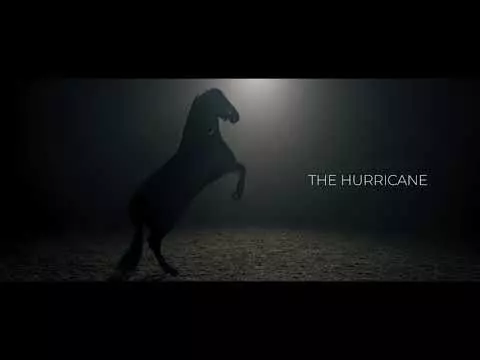 Kentucky Turnout Rug All Weather Hurricane 150G