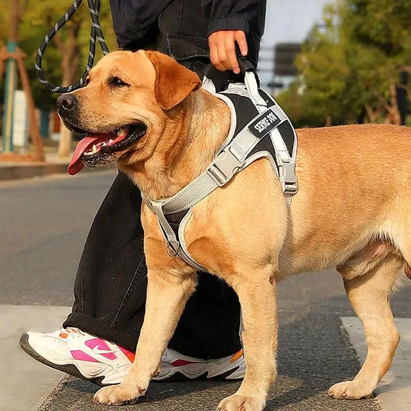 Reflective Dog Harness Vest (Labrador Retriever) | Adjustable, All Weather