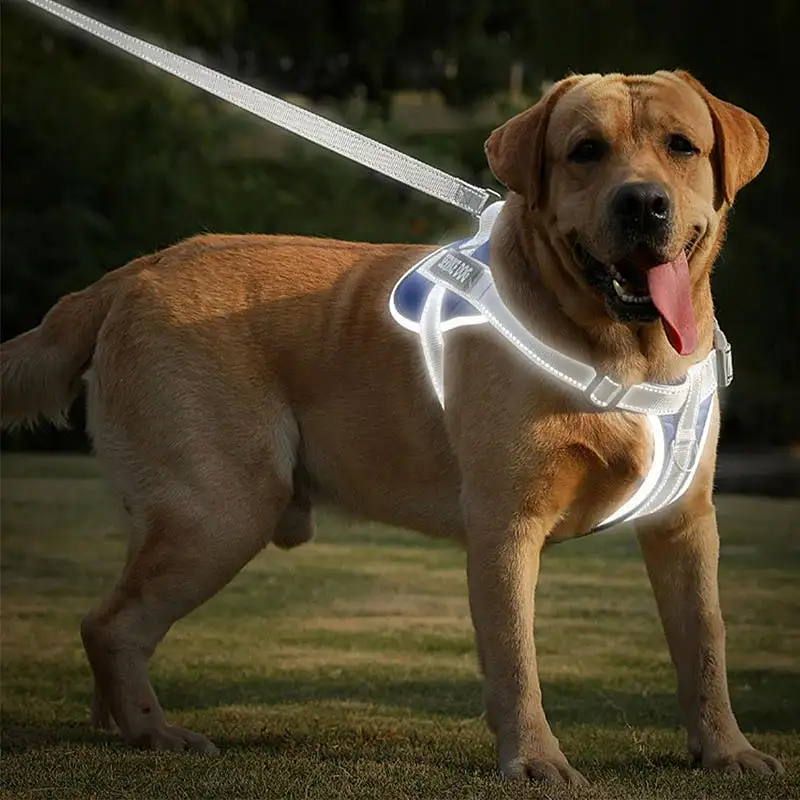 Reflective Dog Harness Vest (Labrador Retriever) | Adjustable, All Weather