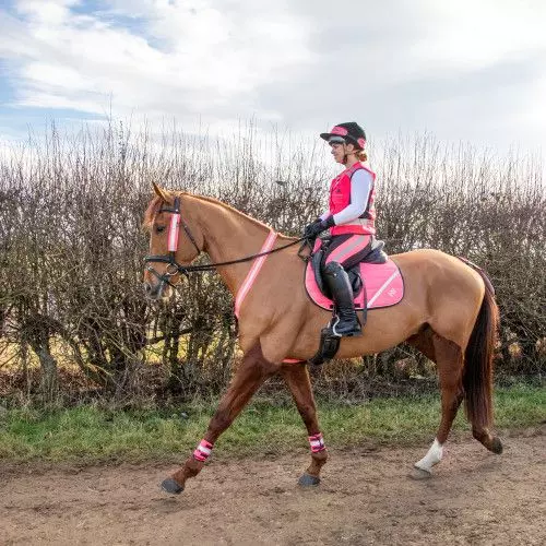 Reflector Comfort Pad by Hy Equestrian