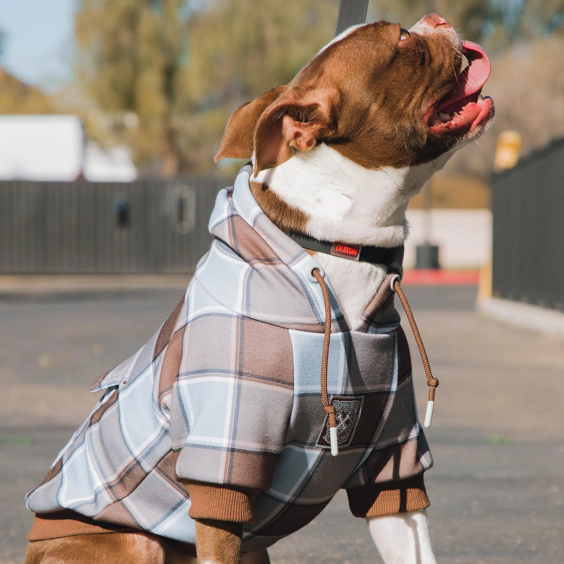 T-Street Flannel Print Dog Hoodie