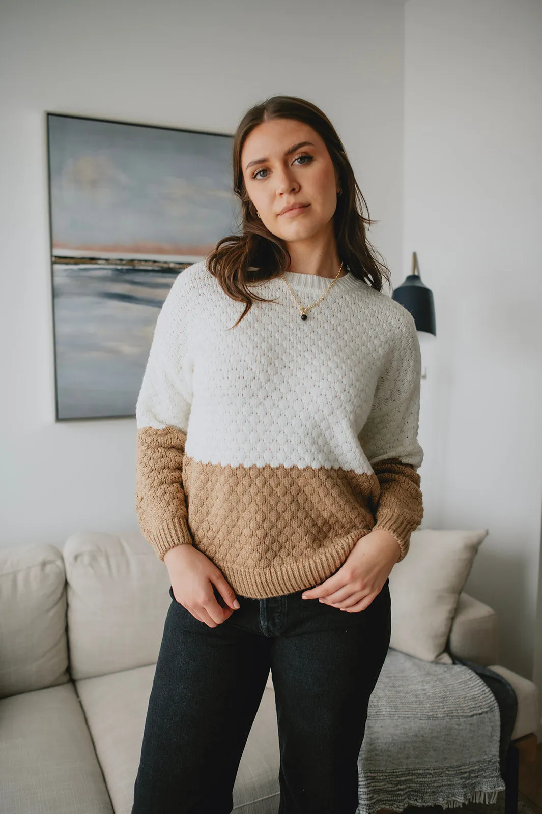 The Lindsy Two-Tone Pullover - PLUS